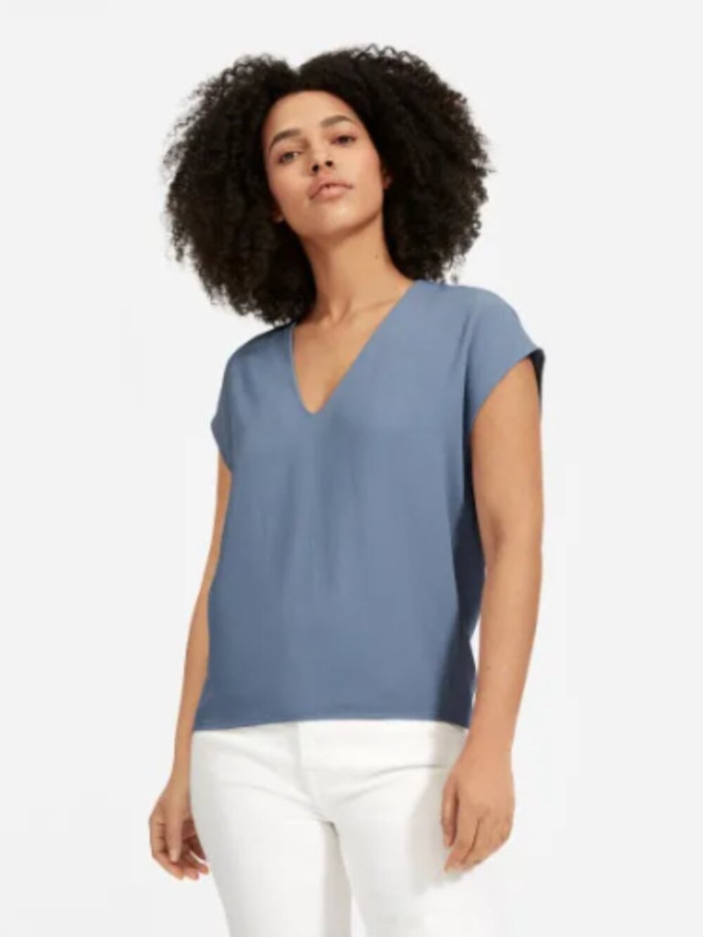 Everlane Japanese GoWeave V-Neck Tee 4 Slate Blue Triacetate Sleeveless